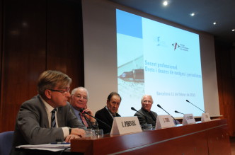 secretprofessionalmetges1